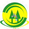 Cosaalt